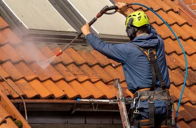 Démoussage et hydrofuge de toiture à Meilhards